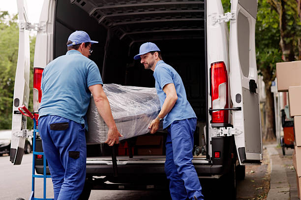 Mover transporting stacked boxes on a dolly cart