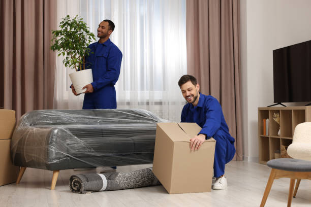 Household items being wrapped in bubble wrap for safe transport